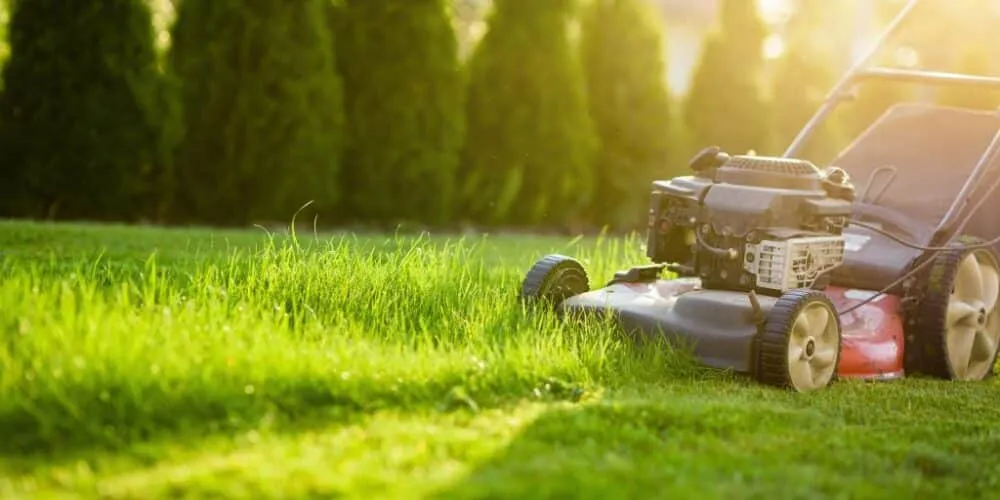 Lawn mower cutting grass at a home in Valentine NSW