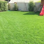 kikuyu-lawn-mowed