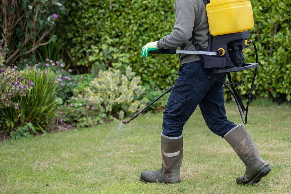 Garden Weeding Hamlyn Terrace