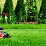 lawn-mower-mowing-lawn