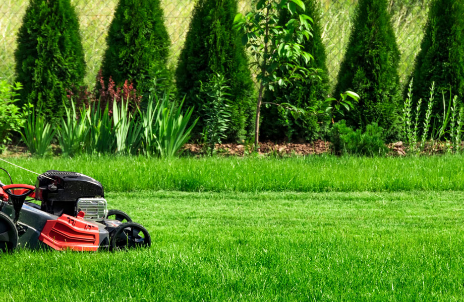 lawn-mower-mowing-lawn