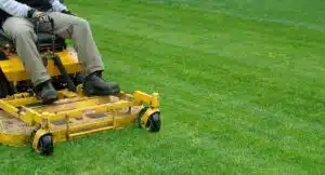 Benefits of Fortnightly Lawn Mowing in Winter