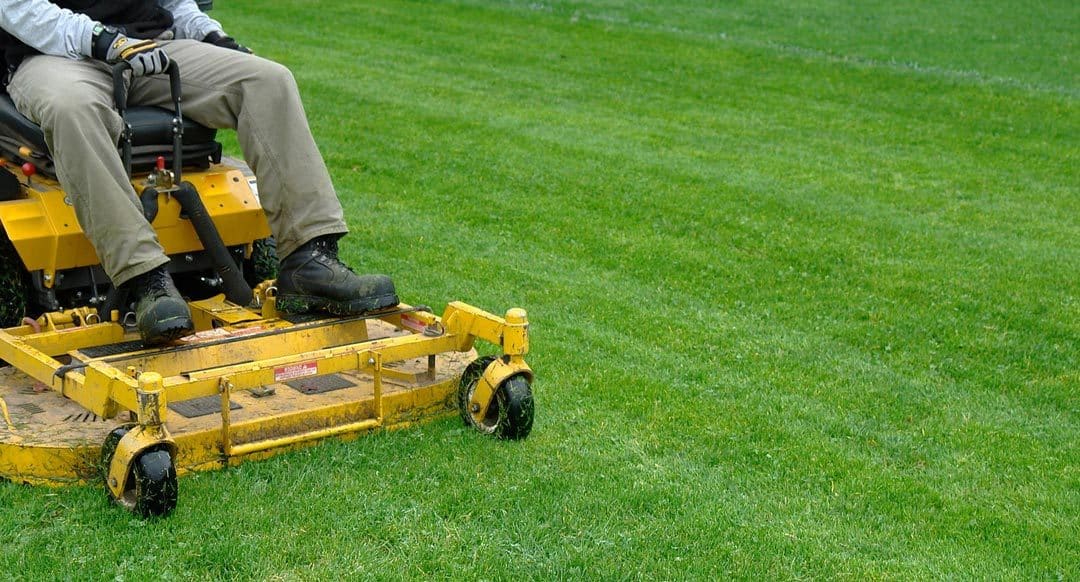 Lawn Mowing Charmhaven