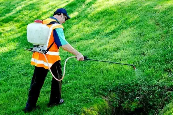 Weed Treatment Budgewoi
